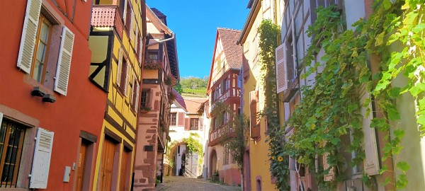 vignoble Alsace Kaysersberg