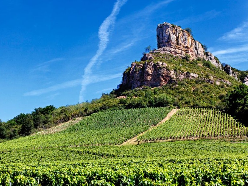 vignoble bourgogne depuis roche de Solutré