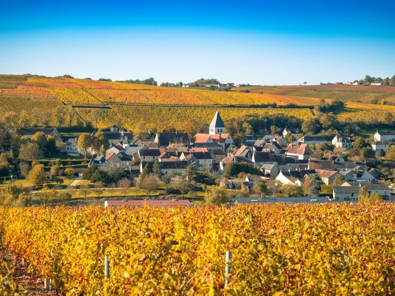 Articles du blog sur la région du Val de Loire