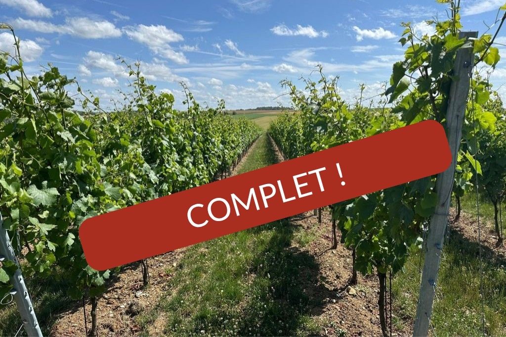 Dégustation sur les vins des Hauts de France à Lille le 24 septembre