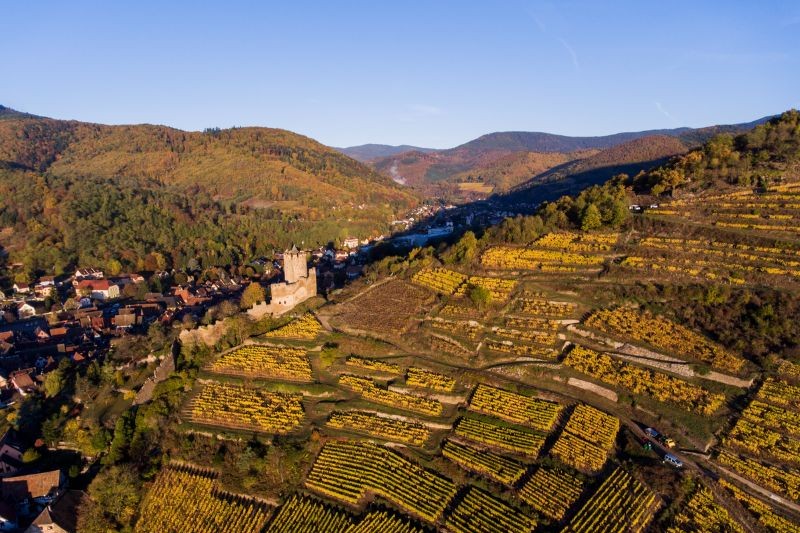 cours d'oenologie sur le vignoble alsacien au travers de la dégustation de 5 vins bio d'Alsace
