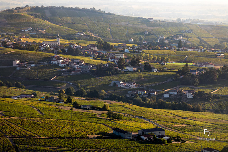 Dégustation sur les vins des Beaujolais (du Beaujolais nouveau aux 10 crus du Beaujolais) à Lille le 26 novembre 2026